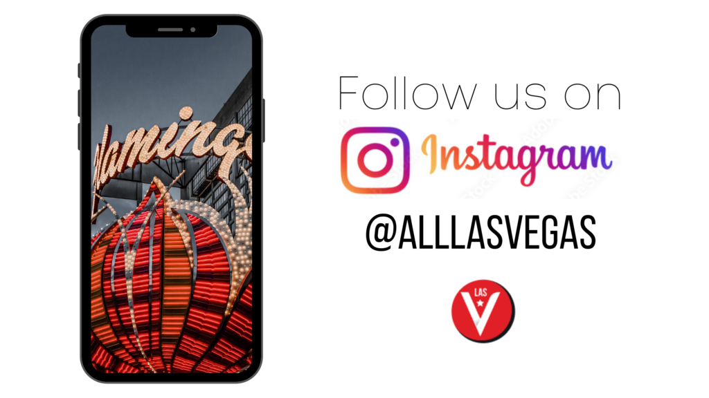 Las Vegas is all the fun that you been wanting! Follow us to see more!